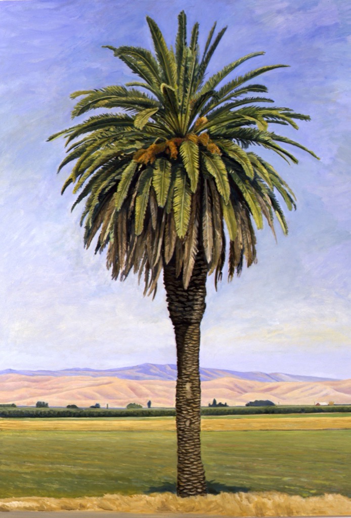 Palm, West Valley